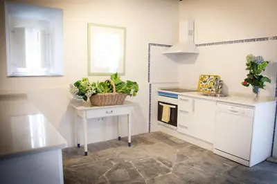 a kitchen with white cabinets and a table with plants at Casona Puerto de Vega in Puerto de Vega