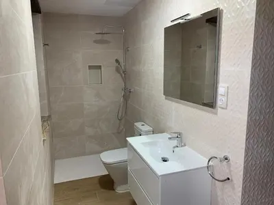 a bathroom with a toilet and a sink and a shower at Apartamentos Casa Benito in San Tirso de Abres