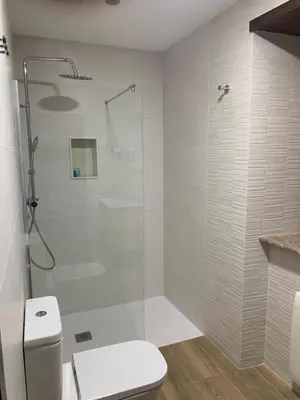 a white bathroom with a shower and a toilet at Apartamentos Casa Benito in San Tirso de Abres