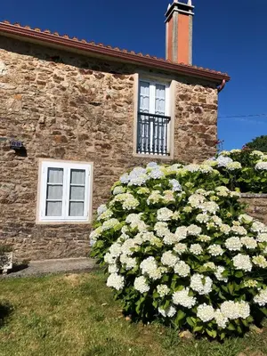 a bush of white flowers in front of a building at VUT Boente 2 in Boente