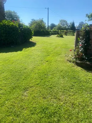 a large yard with green grass and bushes at VUT Boente 2 in Boente