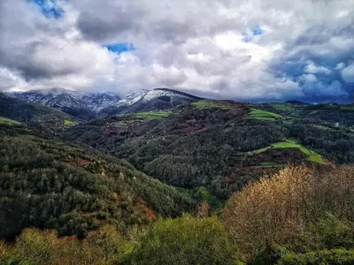 a view of a mountain with trees and snow capped mountains at Casa Antón O Cebreiro in O Cebreiro