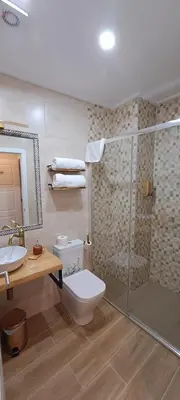 a bathroom with a shower and a toilet and a sink at Xanela Xures in Muiños