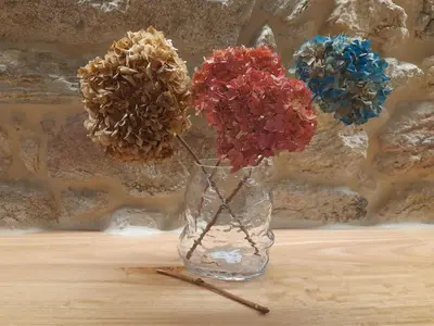 two dried flowers in a glass vase on a table at Xanela Xures in Muiños