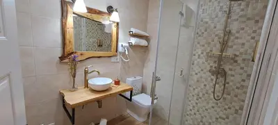 a bathroom with a shower and a sink and a toilet at Xanela Xures in Muiños