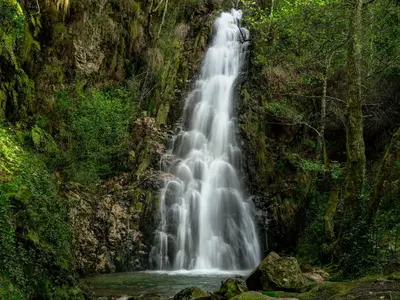 a waterfall in the middle of a forest at Mirador do Xistral in Valle de Oro