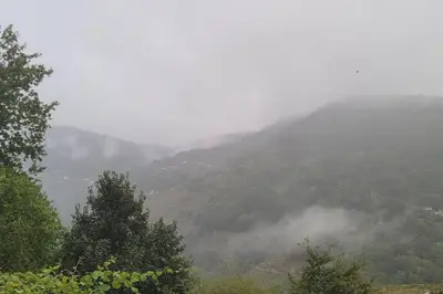 a misty valley with trees and mountains in the background at cabaña do rei in Betán