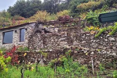 a stone wall with windows and plants on it at cabaña do rei in Betán
