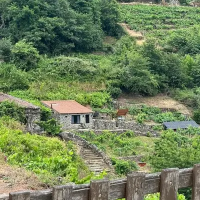 cabaña do rei
