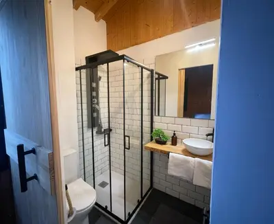 a bathroom with a shower and a toilet and a sink at Casa Arroio - Casco antiguo de Allariz in Allariz