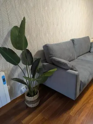 a living room with a couch and a plant at O Pisiño de Andrés in Caldas de Reis