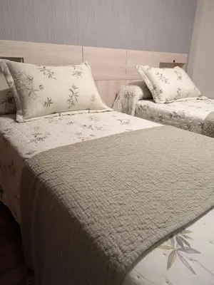a bedroom with two beds and two pillows at O Pisiño de Andrés in Caldas de Reis