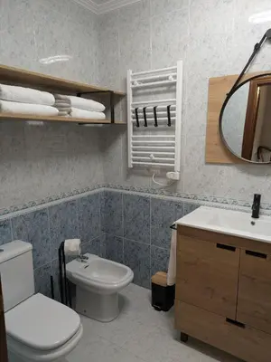 a bathroom with a toilet and a sink and a mirror at O Pisiño de Andrés in Caldas de Reis