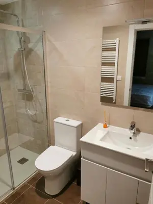 a bathroom with a toilet and a sink and a shower at O Lar do Rodrigo in Castro Caldelas