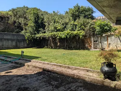 a yard with a potted plant on the grass at Casa Cancelas in Santiago de Compostela