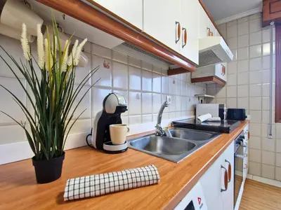a kitchen with a sink and a plant on a counter at YourHouse Progreso 1 apartment in Ourense