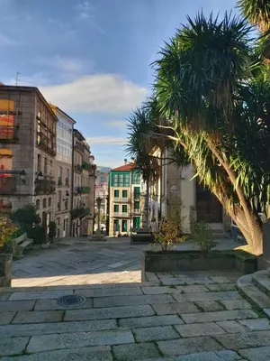 a city street with a palm tree and buildings at YourHouse Progreso 1 apartment in Ourense