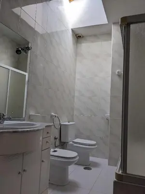 a bathroom with a toilet and a sink and a mirror at Casa Filomena in Santiago de Compostela