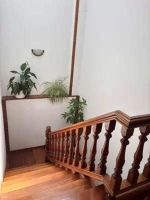 a wooden staircase with two potted plants on it at Casa Filomena in Santiago de Compostela