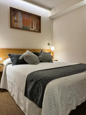 a bedroom with a large bed in a room at Nest Style Santiago in Santiago de Compostela