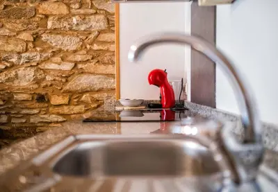 a kitchen sink with a red bird sitting on a counter at Alda Fogar Natural in Santiago de Compostela