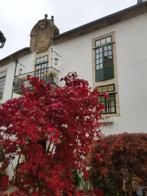 a red tree in front of a white building at Hotel Monumento Pazo de Orbán in Lugo