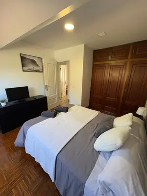 a bedroom with two beds and a flat screen tv at Apartamento 16 in Ribadavia