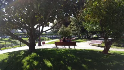 two people sitting on a park bench under a tree at Hostal Medievo in Monforte de Lemos