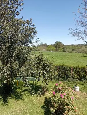 a field with trees and flowers in the grass at Vilariño in Ordes