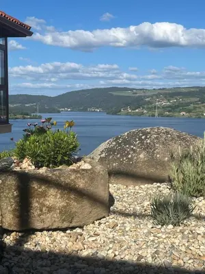 a view of a lake with two large rocks and flowers at Casa da Ramona in Ribadavia