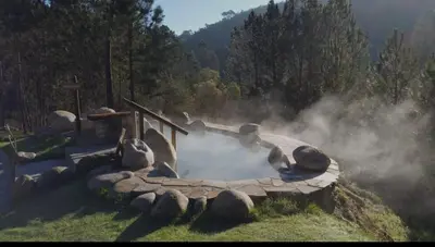 a hot spring in a garden with steam coming out at Casa da Ramona in Ribadavia