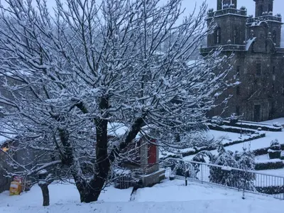 a tree covered in snow in front of a building at Pension A Casiña D,avoa Oseira in Osera