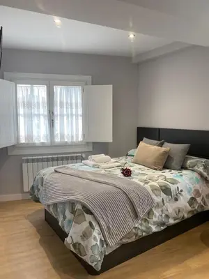 a bedroom with a large bed and two windows at Pension A Casiña D,avoa Oseira in Osera