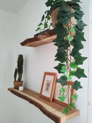 a wooden shelf with a ivy plant at White & Wood Miño Apartament in Miño