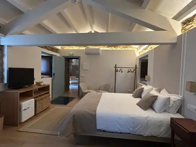 a bedroom with a large bed and a television at Luar do Sarela Rooms in Santiago de Compostela
