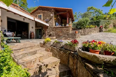 a stone house with flowers in pots on a patio at Lagar de Beuvas in Camanzo