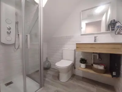 a bathroom with a shower and a toilet and a sink at L1 - Disfruta en Os Vinos a dos pasos de la catedral in Ourense