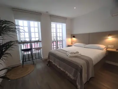a bedroom with a bed and a plant in it at L1 - Disfruta en Os Vinos a dos pasos de la catedral in Ourense