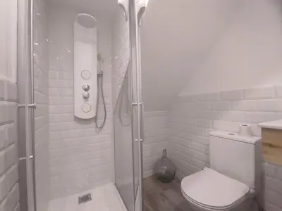 a white bathroom with a shower and a toilet at L1 - Disfruta en Os Vinos a dos pasos de la catedral in Ourense