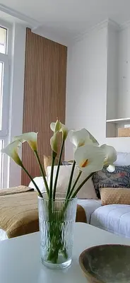 a vase with white flowers sitting on a table at Descubre Foz con nosotros in Foz