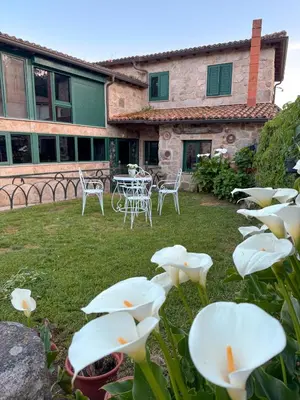 a garden with white flowers and a table and chairs at Hotel rústico Aldea Figueiredo in Ourense