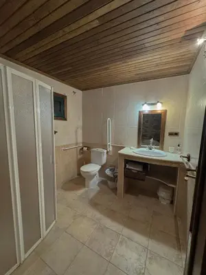 a bathroom with a sink and a toilet in it at Hotel rústico Aldea Figueiredo in Ourense