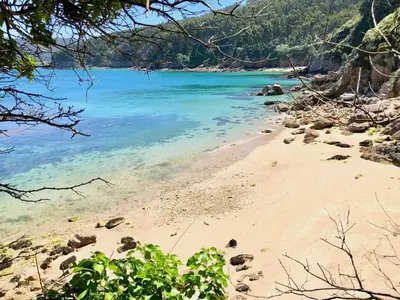 a beach with clear blue water and trees at The Cliffs - AT Seiramar in Viveiro