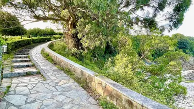 a stone path next to a tree and some bushes at The Cliffs - AT Seiramar Os Castelos in Viveiro