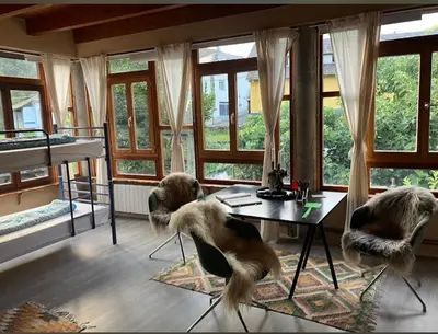 four dogs sitting in chairs in a room with windows at Casa Cantadora in Ambasmestas