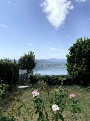 a view of a lake from a yard with pink flowers at Maison familiale avec vue in Puente-Castrelo