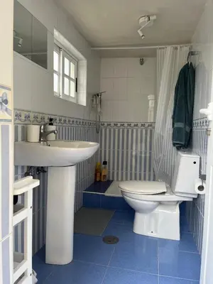 a bathroom with a white toilet and a sink at Rincón rural in Tomonde