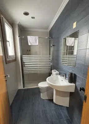 a bathroom with a toilet and a sink and a shower at A Cuarta Ronda II in Melide