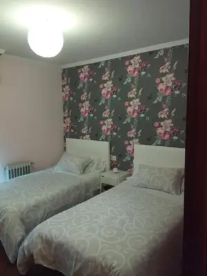 two beds in a room with flowers on the wall at Cruxa Apartments garaje incluido in Santiago de Compostela