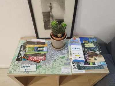 a table with books and a cactus on it at Montirón 113 - Fontiñas in Lugo